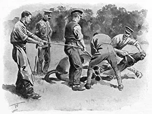 Unruly: Trying to shoe a mule, WW1