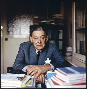 Stearns: Ts Eliot - Ida Kar portrait