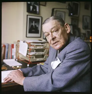 Stearns: Ts Eliot - Ida Kar portrait