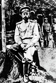Romanow: Tsar Nicholas II