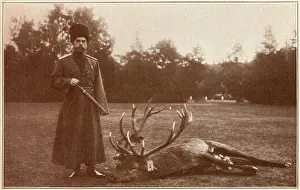 Bialowieza: Tsar Nicholas II - deer hunting