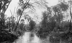 Tembo: Tsavo river near Tembo camp