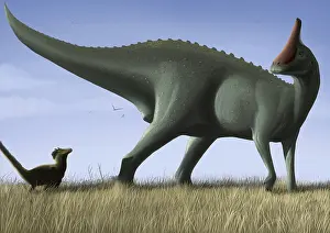 Lambeosaurinae: Tsintaosaurus spinorhinus and its offspring in an open field