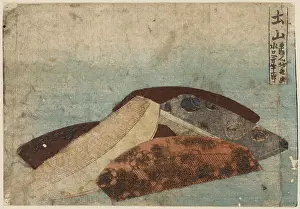Combs: Tsuchiyama