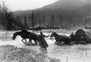 Valleys: Tuapse Front, Caucasus, 1942