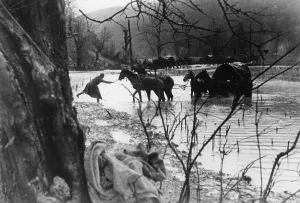 Valleys: Tuapse Front, Caucasus, 1942