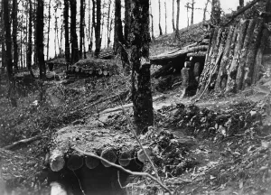 Northwestern: Tuapse Front, Caucasus, 1942