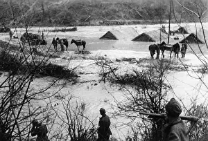 Valleys: Tuapse Front, Caucasus, 1942
