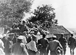Northeast: Tuapse Front, Caucasus, 1942