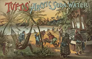 Hammock: Tuft's Arctic Soda Water