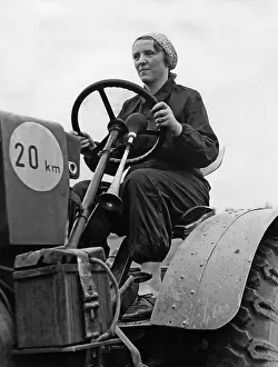 Steering: Tugboat driver in Berlin, 1939