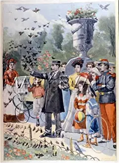 Feeder: TUILERIES BIRD FEEDER 2