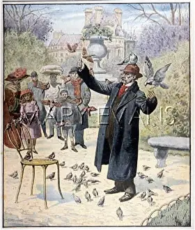 Oiseaux: TUILERIES BIRD FEEDER 3