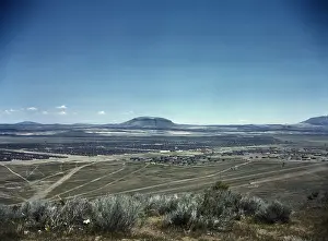 Willingness: Tule Lake Relocation Center, at Newell, ?