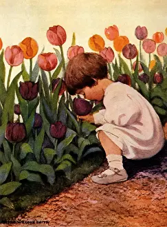 Crouched: Tulip Time