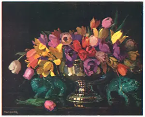 Arranged: Tulips