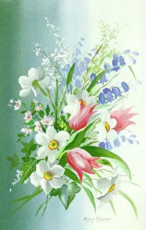 Narcissi: Tulips, bluebells, narcissi etc