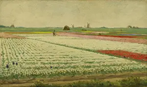 Impressionistic: Tulpenvelden (Tulip Field)
