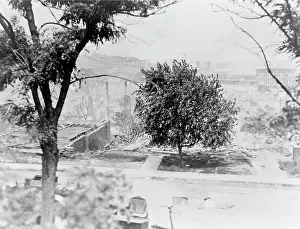 Catastrophic: Tulsa Race Riot, 1921