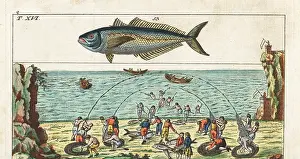 Nilson: Tuna fishing method and horse mackerel