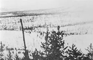 Meteorites: TUNGUSKA DESTRUCTION