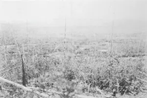Meteorites: TUNGUSKA DEVASTATION