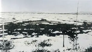 Meteorites: Tunguska Epicentre