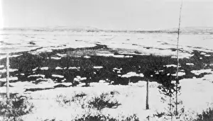 Meteorites: Tunguska Epicentre