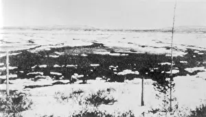 Meteorites: Tunguska Epicentre