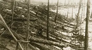 Astrophysical: Tunguska Event, 1908