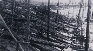 Astrophysics: Tunguska Event, 1908