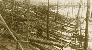 Astrophysics: Tunguska Event, 1908