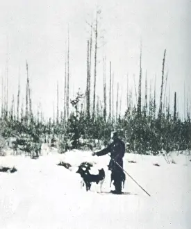 Kulik: TUNGUSKA / KULIK