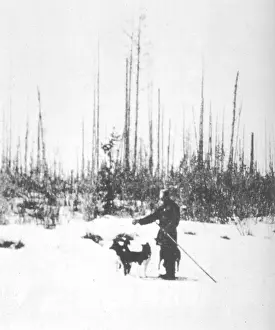 Kulik: TUNGUSKA / KULIK