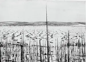 Destructive: Tunguska meteorite damage, Siberia