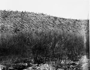 Destructive: Tunguska meteorite damage, Siberia