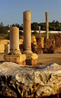 Antoninus: Tunisia. Carthage. The Baths of Antoninus Pius