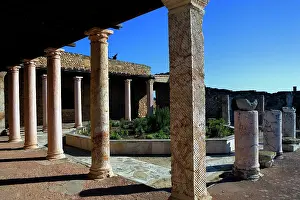 Aviary: Tunisia. Carthage. House of Aviary