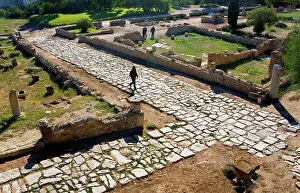 Aviary: Tunisia. Carthage. House of Aviary