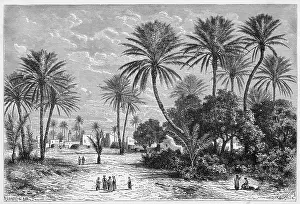 Gafsa: Tunisia, Gafsa