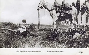 Spahi: Tunisia - A Spahi reconnoitering