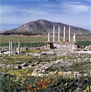 Majus: TUNISIA/THUBURBO MAJUS