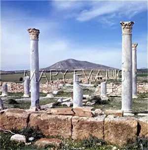 Majus: TUNISIA/THUBURBO MAJUS
