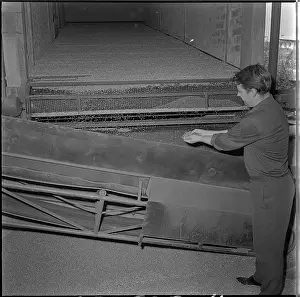 Volatile: Tunnel dryer, post-harvest line, grain, drying