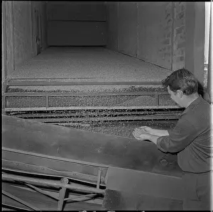 Volatile: Tunnel dryer, post-harvest line, grain, drying