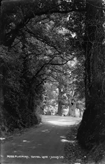 Rustic: Tunnel Lane, Flatford