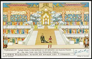 Withdraw: Turandot - Liebig