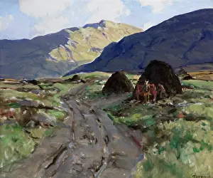 Humbert: Turf Bog, Connemara