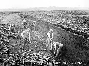 Barrow: Turf Cutting, Co. Fermanagh