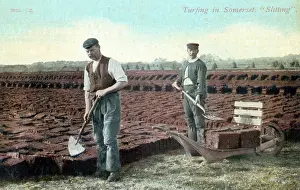 Slitting: Turfing in Somerset. 'Slitting'
